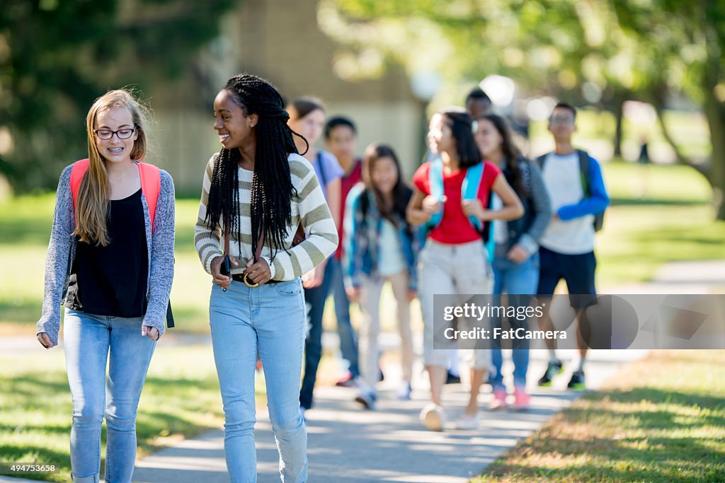 Gli amici a piedi classe