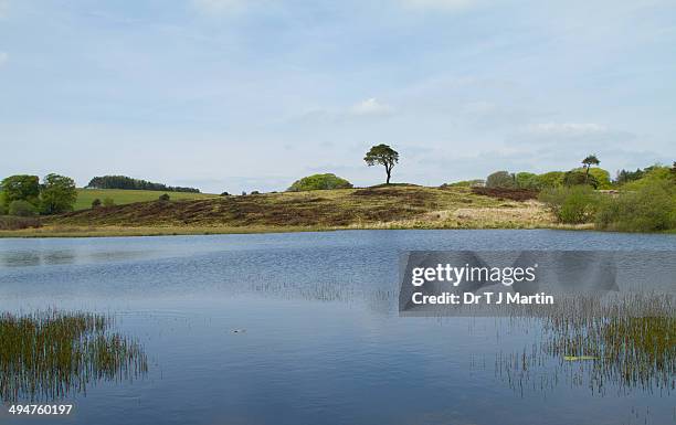 Priddy Postcode Priddy Pools Photos et images de collection - Getty Images