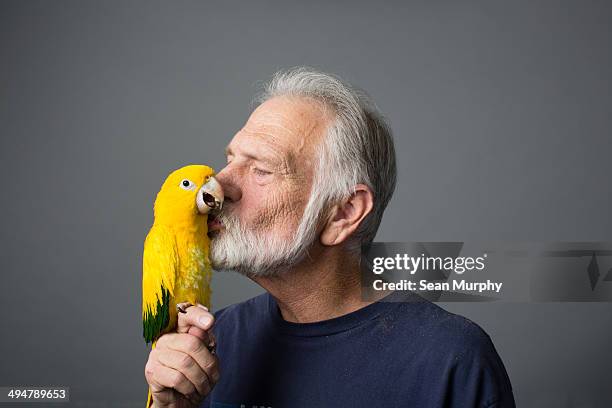 man with golden conure (guaruba guarouba) - men kissing stock pictures, royalty-free photos & images