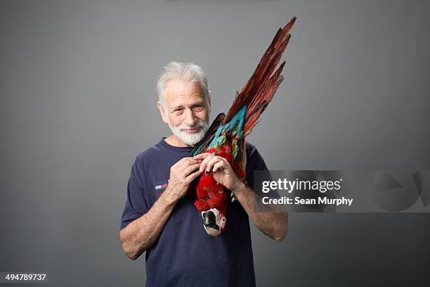 man holding red-and-green macaw upside down - bird portraits stock-fotos und bilder