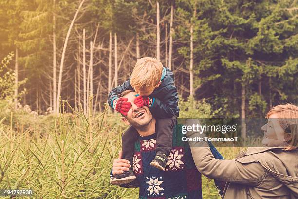 playing in the woods in winter - hands covering eyes stock pictures, royalty-free photos & images