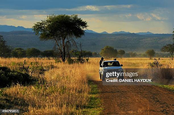 Park wardens drive through the Mikumi National Park, which borders the Selous Game Reserve, in Tanzania on October 13, 2013. A third of all illegal...