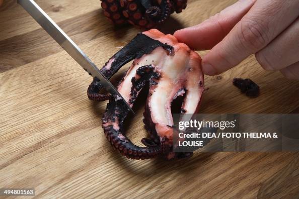 Octopus Clean Cleaning the tentacles of a marinated octopus. Octopus marinated in ...