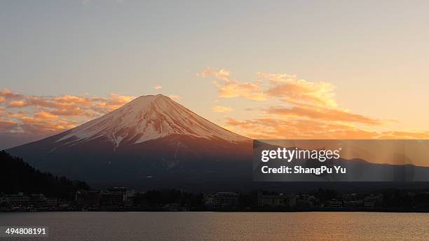 266 Yu Shang Stock Photos, High-Res Pictures, and Images - Getty Images