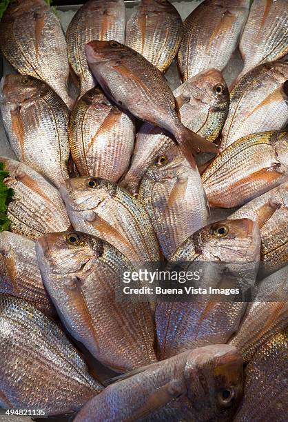 sea breams for sale at the rialto market - sea bream stock pictures, royalty-free photos & images