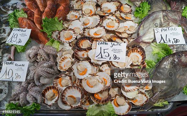 fish for sale at the rialto market - rialto bridge stock pictures, royalty-free photos & images