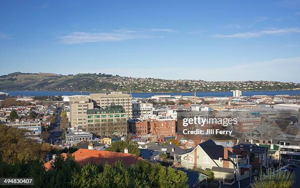 new zealand's cities & landmarks - dunedin foto e immagini stock