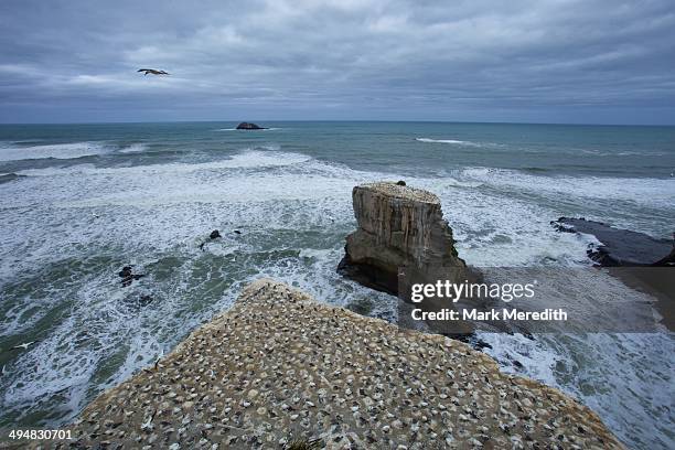 Meredith Stack 20 Meredith Stack Stock Photos, High-Res Pictures, and Images - Getty ...