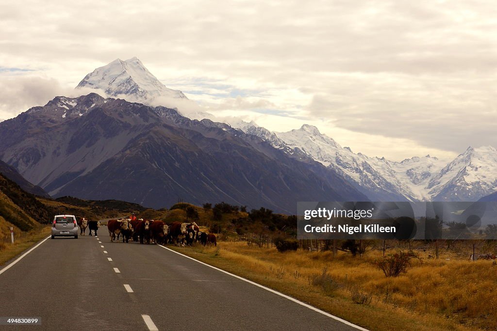 New Zealand's Cities & Landmarks