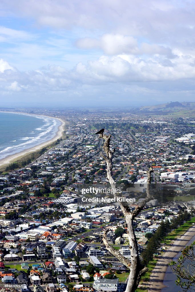 New Zealand's Cities & Landmarks