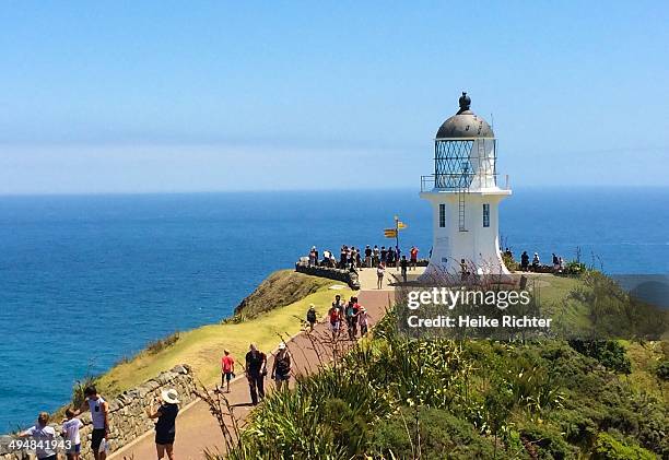 Cape Reinga New Zealand Photos And Premium High Res Pictures Getty Images cape-reinga-new-zealand-photos-and-premium-high-res-pictures-getty-images
