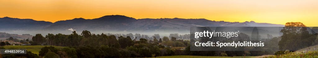 Mattina presto e città in vigneto di Napa Valley, California