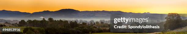 early morning vineyard and town in napa valley california - napa california stock pictures, royalty-free photos & images