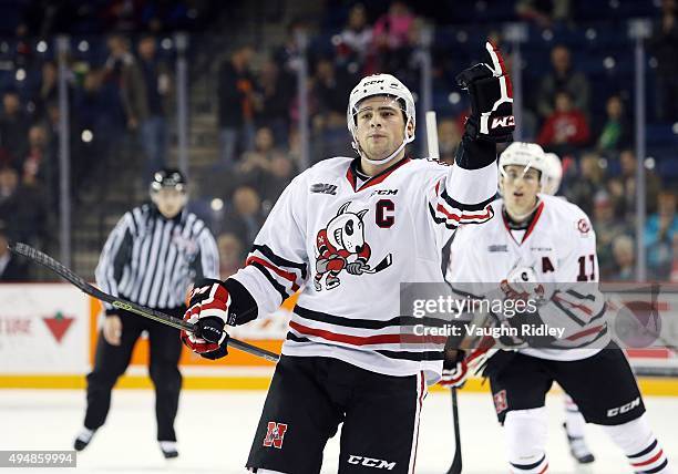 Anthony DiFruscia of the Niagara IceDogs celebrates a goal during an OHL game against the Mississauga Steelheads at the Meridian Centre on October...