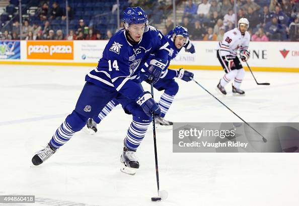 Mississauga Steelheads v Niagara IceDogs Mississauga Steelheads v Niagara IceDogs