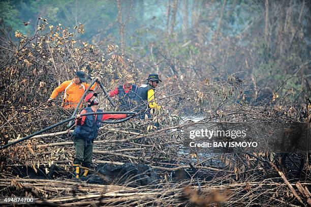 Fire fighters try to put out fires in forest and peatlands surrounding Palangkaraya city in Central Kalimantan on October 30, 2015. Desperate...