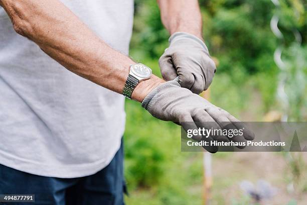 senior putting on garden gloves - glove fotografías e imágenes de stock