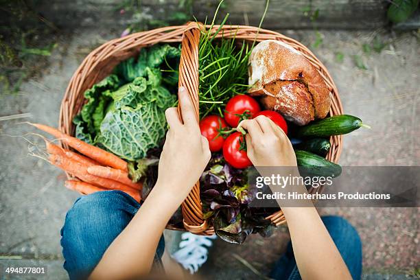 hands of a girl with harvested vegetable - staple ストックフォトと画像