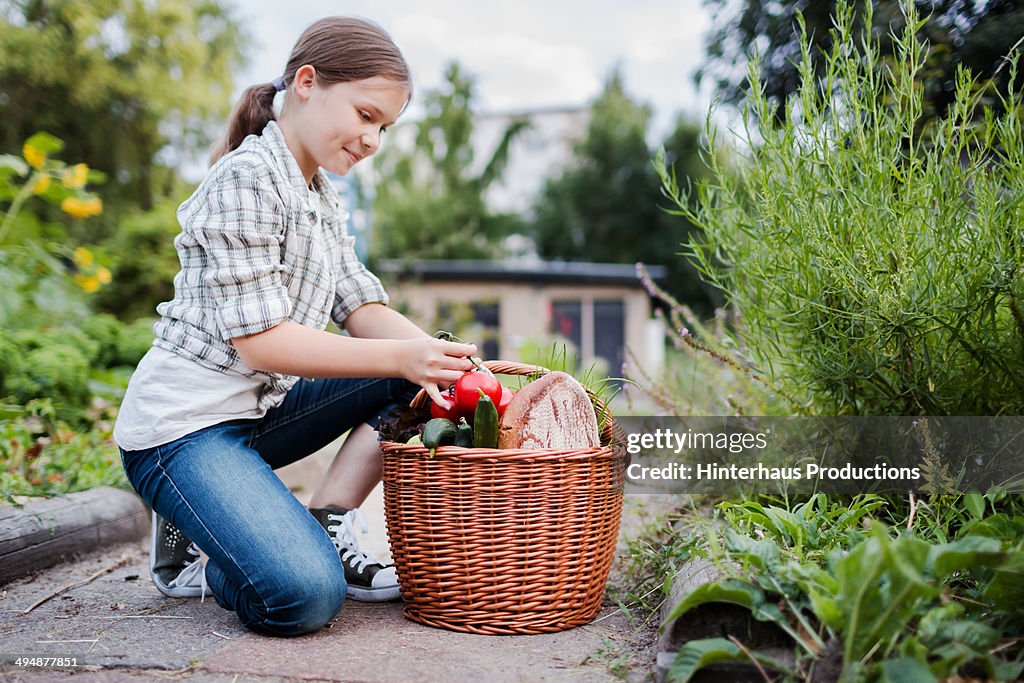 Young Girl With Harvested Vegetable In Garden