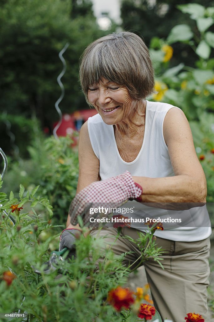 Senior Woman Gardening