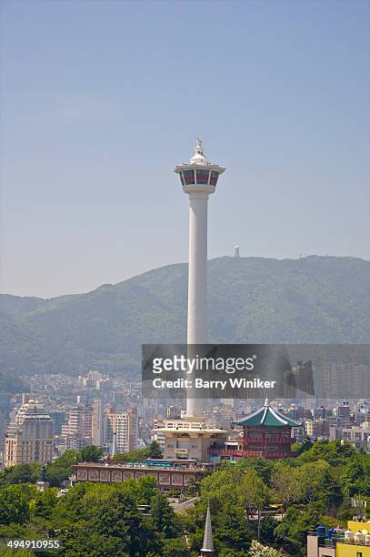 landmark slender tower above city - busan stock pictures, royalty-free photos & images