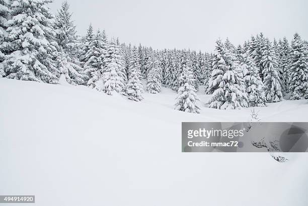 winter landscape with snow and trees - snow hill stock pictures, royalty-free photos & images