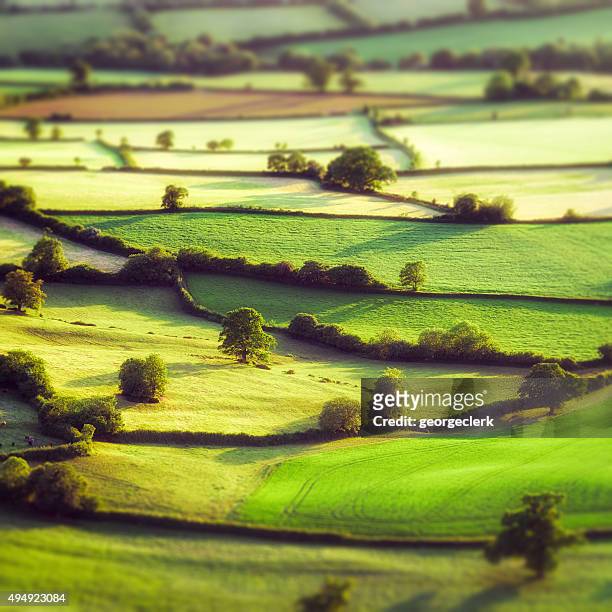aerial tilt-und-shift-blick auf den idyllischen englischen felder - somerset stock-fotos und bilder