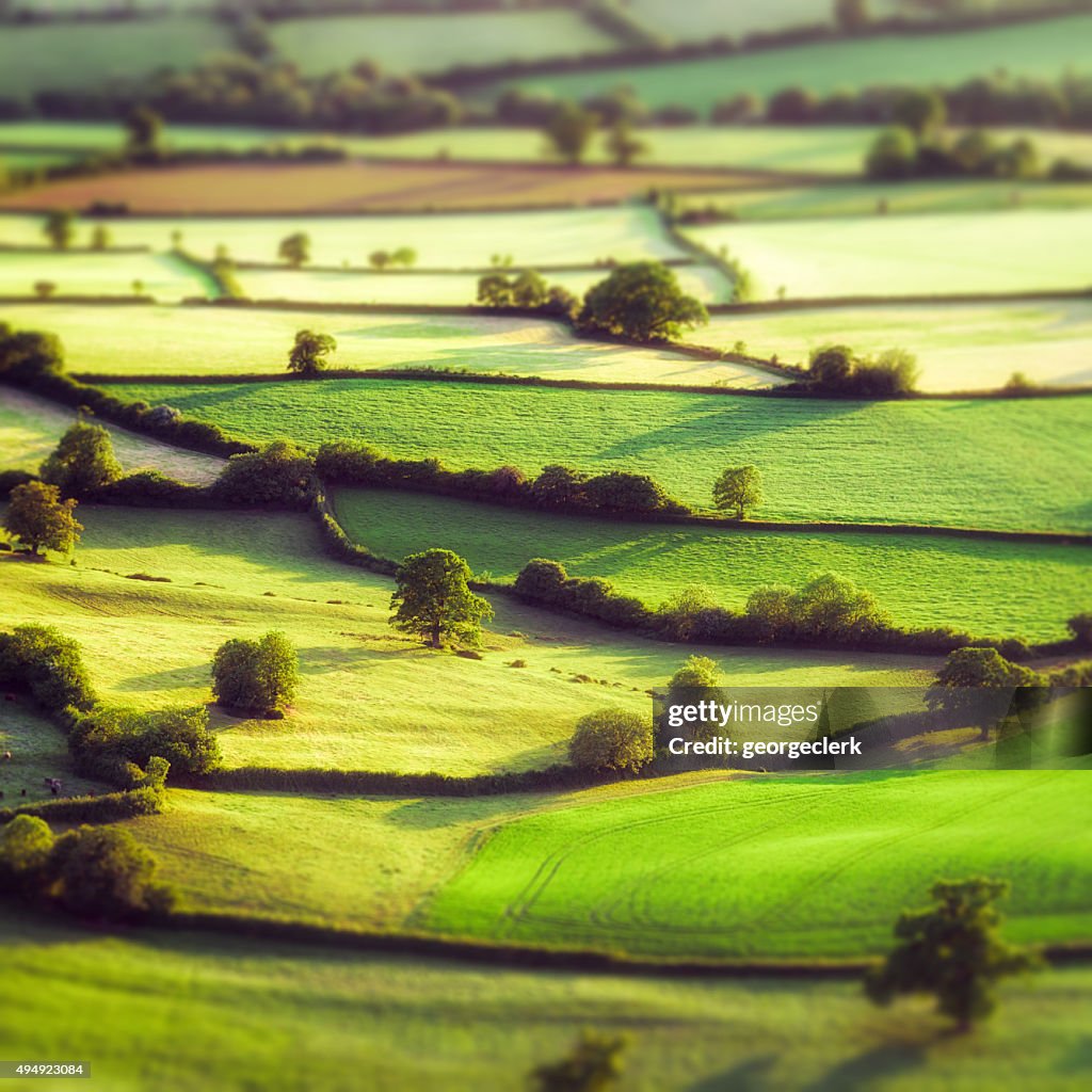 Aerial tilt-shift view of pastoral English fields