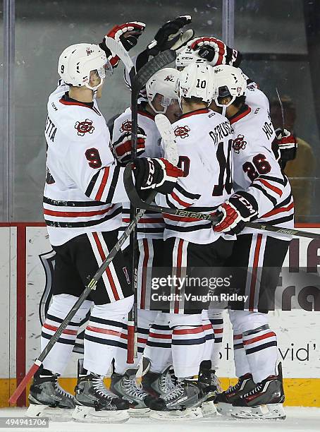 Mikkel Aagaard of the Niagara IceDogs celebrates a goal with teammates during an OHL game against the Mississauga Steelheads at the Meridian Centre...