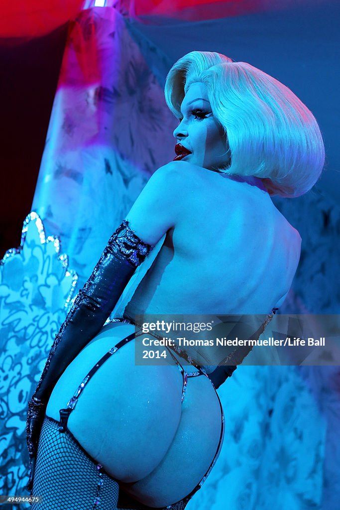 Life Ball 2014 - After Show Party