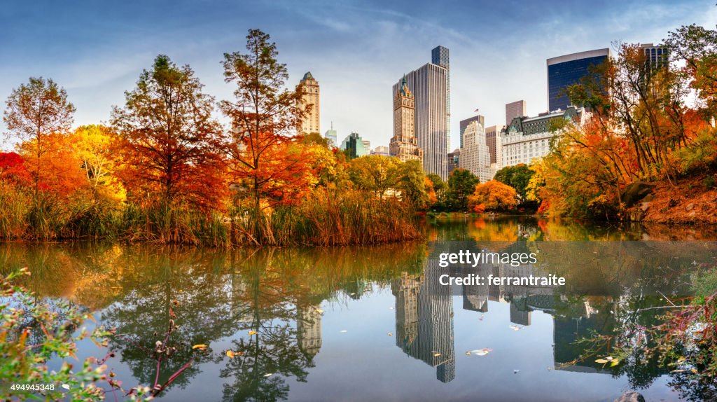Autumn New York City Skyline