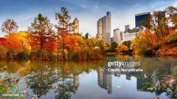 autumn new york city skyline - four seasons new york stock pictures, royalty-free photos & images