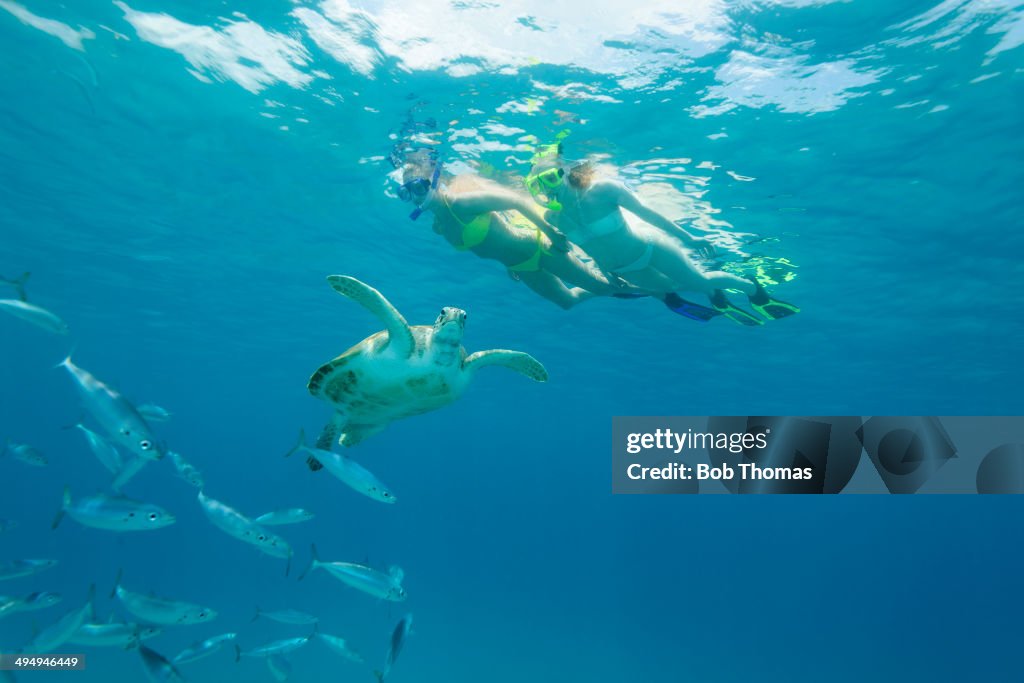Snorkeling in The Caribbean Sea