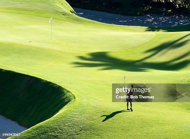 golf general view - golfbaan green stockfoto's en -beelden