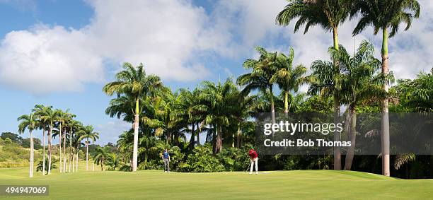 golf course view - barbados stock-fotos und bilder