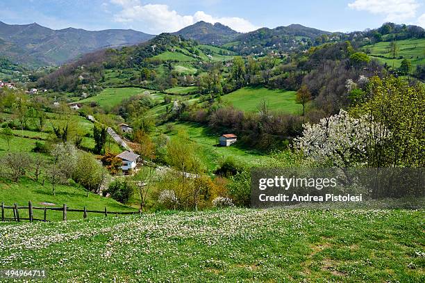 cantabrian mountains - asturias stock pictures, royalty-free photos & images