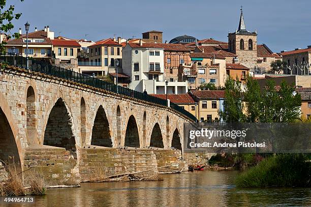 zamora, spain - zamora stock-fotos und bilder