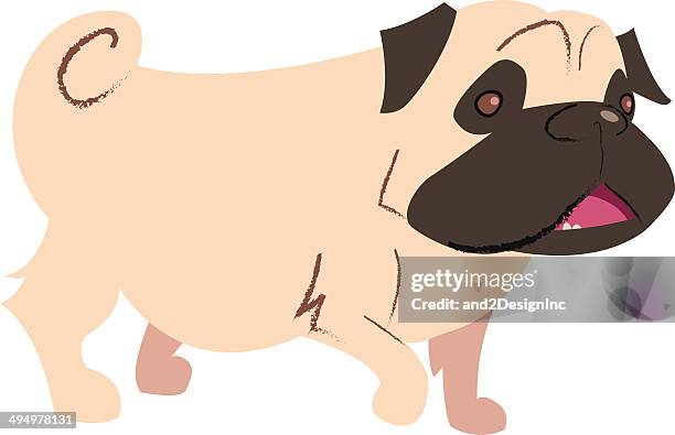 cartoon pug - pug portrait stock illustrations