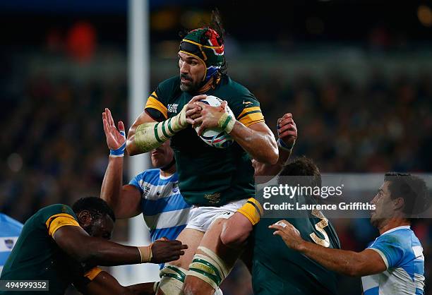 Victor Matfield of South Africa wins the line out ball during the 2015 Rugby World Cup Bronze Final match between South Africa and Argentina at the...