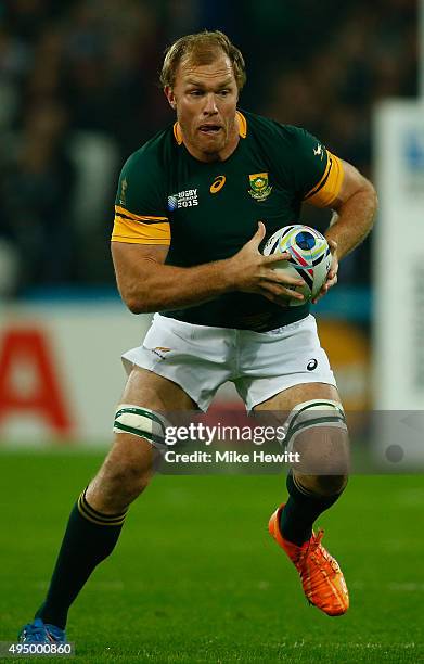 Shalk Rugby 1,179 Schalk Burger Photos Stock Photos, High-Res Pictures, and Images ...