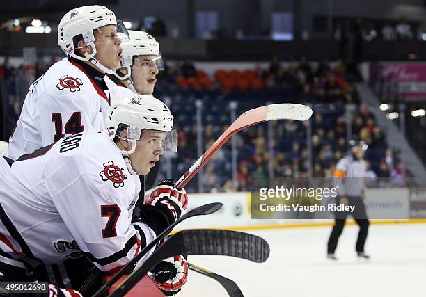 Mikkel Aagaard, Chris Paquette and Nick Pastorious of the Niagara IceDogs look on from the bench during an OHL game against the Sarnia Sting at the...