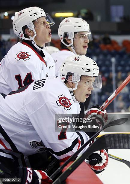 Mikkel Aagaard, Chris Paquette and Nick Pastorious of the Niagara IceDogs look on from the bench during an OHL game against the Sarnia Sting at the...