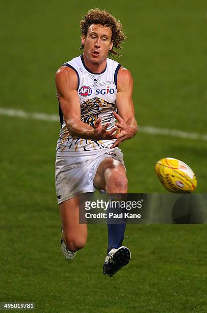 Matt Priddis of the Eagles spills a mark during the round 11 AFL match between the West Coast Eagles and the North Melbourne Kangaroos at Patersons...