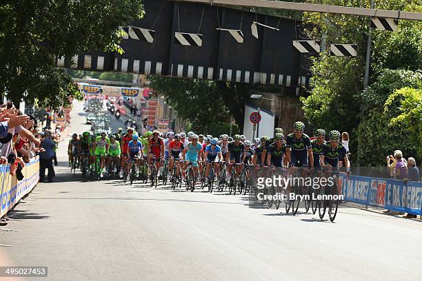 Movistar Team riders lead the peloton during the twenty-first stage of the 2014 Giro d'Italia, a 172km stage between Gemona del Friuli and Trieste on...
