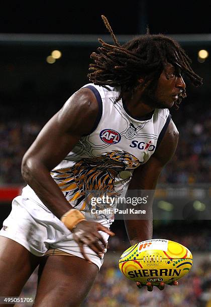 Nic Naitanui of the Eagles looks to handball during the round 11 AFL match between the West Coast Eagles and the North Melbourne Kangaroos at...