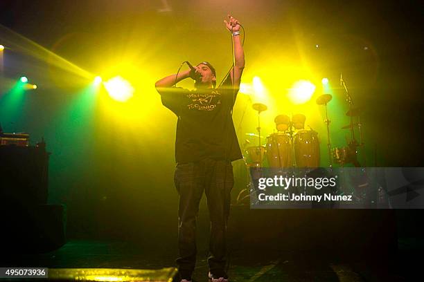 Immortal Technique performs at PlayStation Theater on October 30, 2015 in New York City.