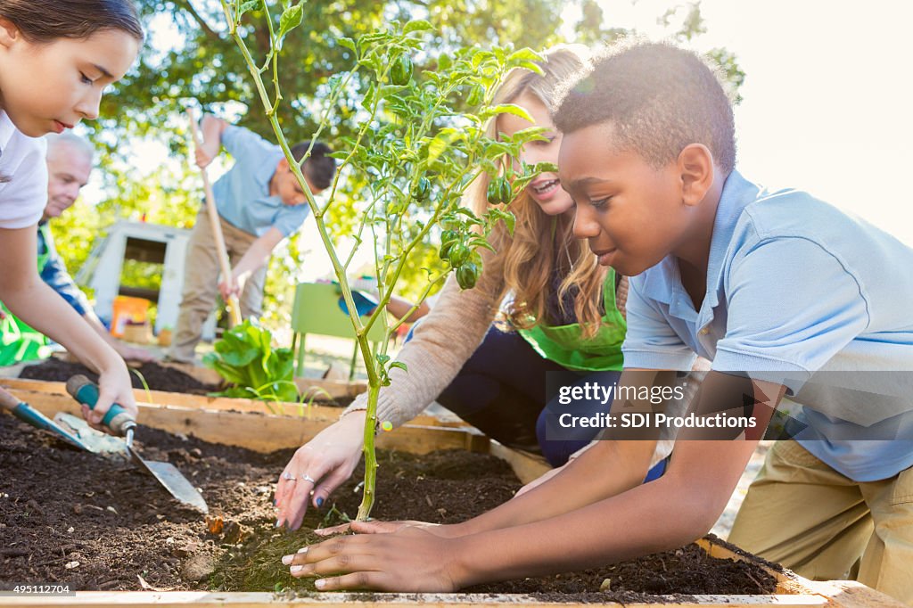 Instrucing Schüler und Lehrer in science-Klasse Garten