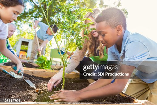 Teacher instrucing students while gardening during science class