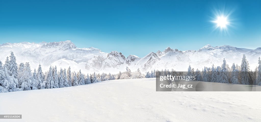 Winter snowy landscape