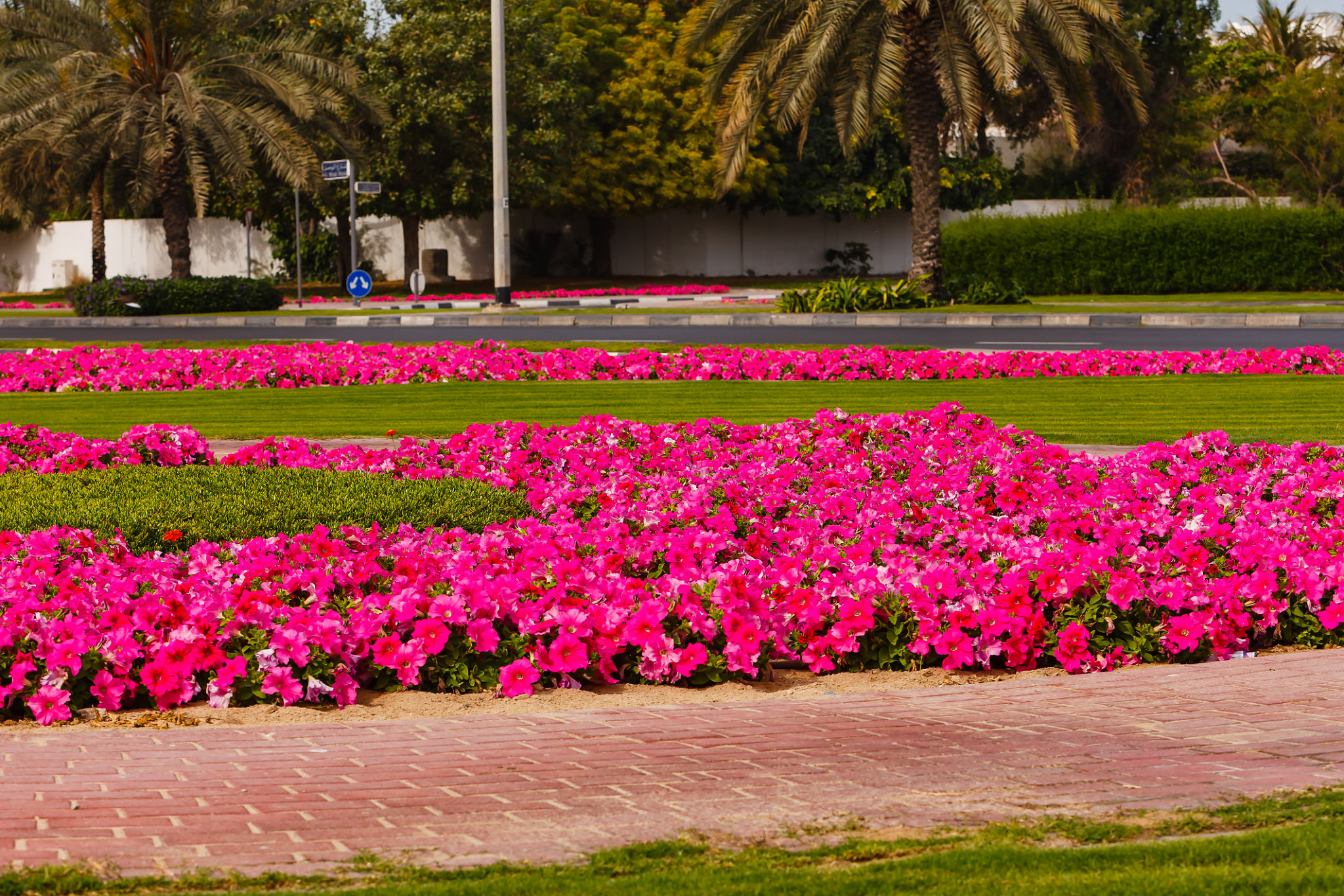 Dubai Miracle Garden Dubai Miracle Garden